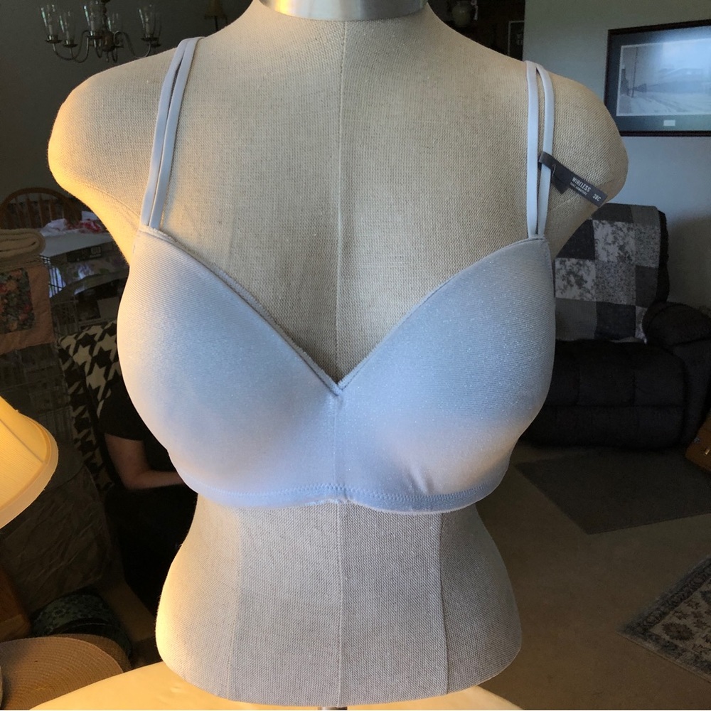 Aerie Wireless Light Blue Adjustable Bra with Strap Hook 38C